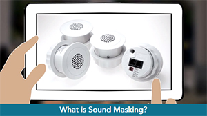 Sound Masking & Speech Privacy